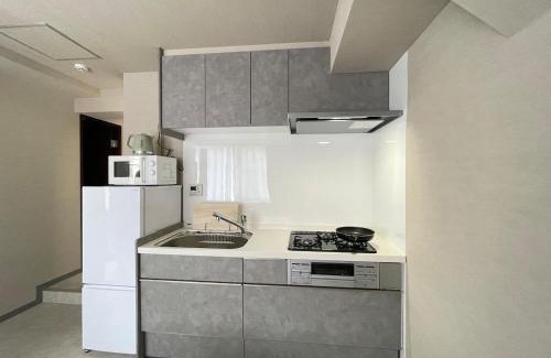 Yushima Apartamento | リニューアル済 上野秋葉原近く最大5人宿泊可