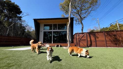 Ichinomiya Villa | 一棟貸切,新築,広いドッグランの庭付き,ペット可,海徒歩10分,bbq,美味しい肉セット注文可