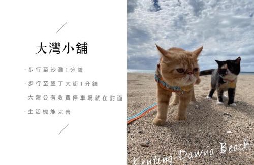 Big Beach Cama Y Desayuno | 墾丁大灣小舖Enjoy Kenting262