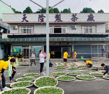 Alishan Casa | 天隆製茶廠民宿