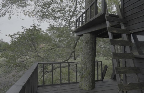 Shibetsu Casa | 小さな森の貸し切り宿Forest-House-Ranapirica