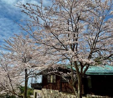 Shodoshima Casa | 小豆島プライベートキャンプサイト