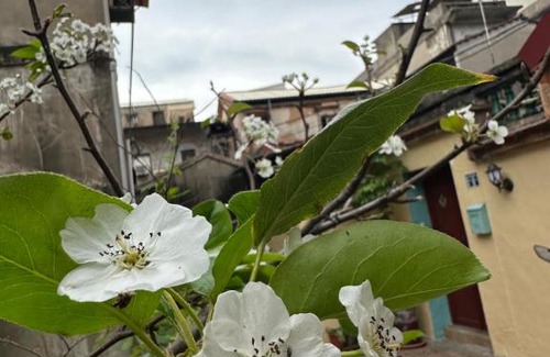 Jincheng Casa | 心琴民宿市區包棟