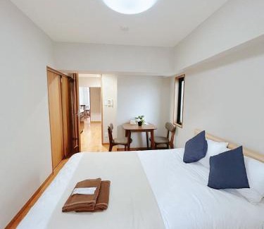 Nishiwaseda Apartamento | 新宿区Shinjuku早稻田大学徒步3分钟 直达日本桥池袋新宿上野 2DK 两室 40平南北通透双阳台 带电梯