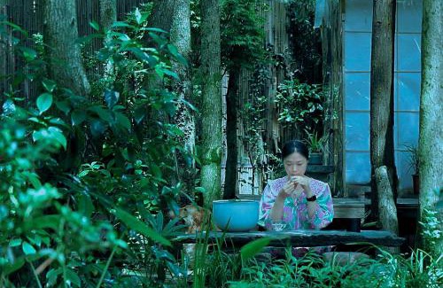 Changjiang County Casa | 景德镇树园心舍民宿 Forest Haven B&B