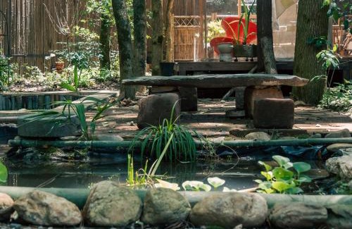 Changjiang County Casa | 景德镇树园心舍民宿 Forest Haven B&B