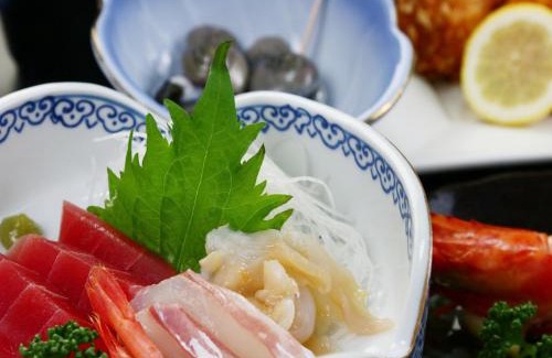 Makinohara Cama Y Desayuno | 民宿東海
