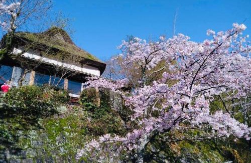 Saga Casa | 洋々庵・古民家一棟貸・完全貸切・プライベートサウナ