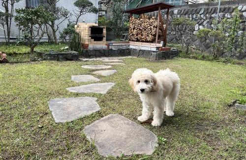 Ninomiya Casa | 湘南ソラル〜二宮の高台・アートな庭付き日本家屋121㎡／高速WiFi／芝生ドッグラン・ピザ窯BBQ有