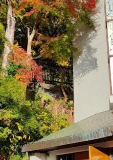 Atami Casa | 熱海温泉 実の別荘