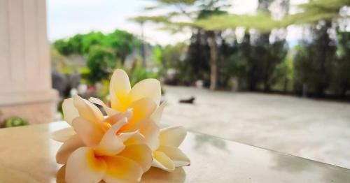 Shanlin District Casa | 登雲villa
