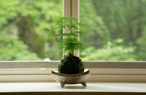 Tsumagoi Apartamento | 花の街F220 #Nature Escape BBQ