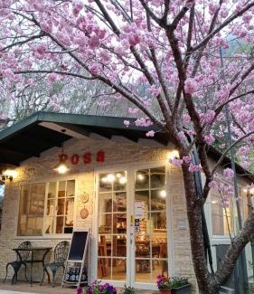 Fuxing District Otro | 薔薇谷 民宿字108號