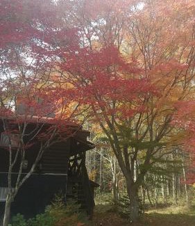 Nagano Apartamento | 貸切別荘Madoyaのお宿 Loiseau bleu Iizuna