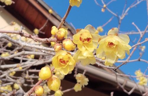 Danshi Cho Casa | 農家民宿河西園