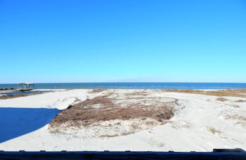 Dauphin Island Casa | 018 Greenscape