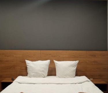 Uzhhorod Apartamento | 1-комнатная квартира ВИП уровня посуточно в Ужгороде. ул.Другетов