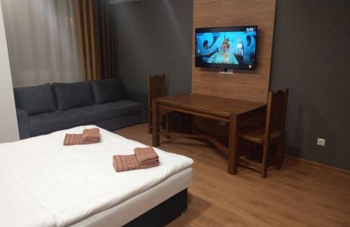 Uzhhorod Apartamento | 1-комнатная квартира ВИП уровня посуточно в Ужгороде. ул.Другетов