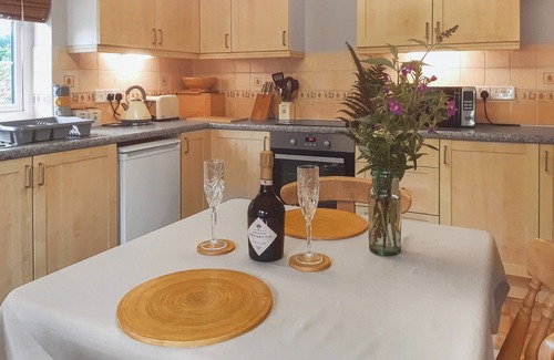 Mount Hawke Cabaña | Alojamiento de 1 habitaciones en Mount Hawke