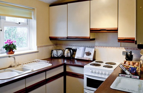 Wellington Cabaña | Alojamiento de 1 habitaciones en Wrangway, near Wellington