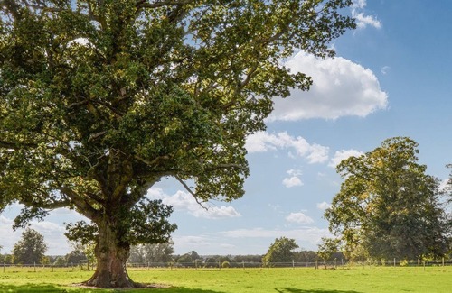 Palgrave Cabaña | 1 bedroom accommodation in Palgrave, near Diss