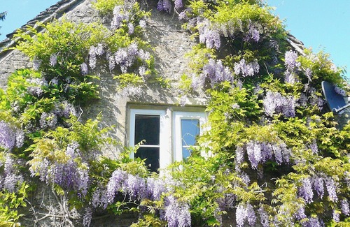 Rendcomb Cabaña | Alojamiento de 1 habitaciones en Chedworth, near Cheltenham