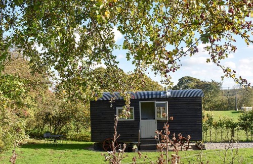 Durham Cabaña | 1 bedroom accommodation in Durham