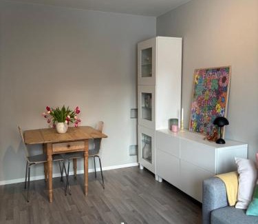 Trondheim Apartamento | 1-bedroom apartment