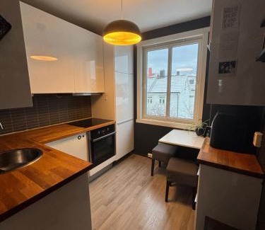 Trondheim Apartamento | 1-bedroom apartment