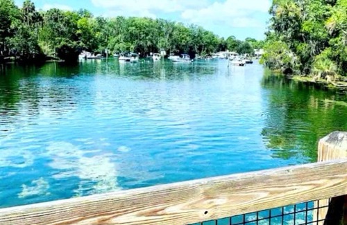 Citrus Springs Alquiler De RV | 1-bedroom campground 19 minutes from Rainbow Springs State Park