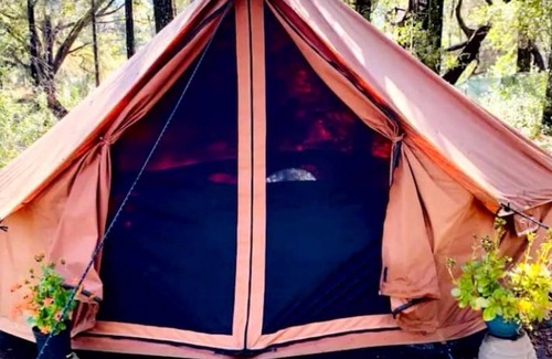 Citrus Springs Alquiler De RV | 1-bedroom campground 19 minutes from Rainbow Springs State Park