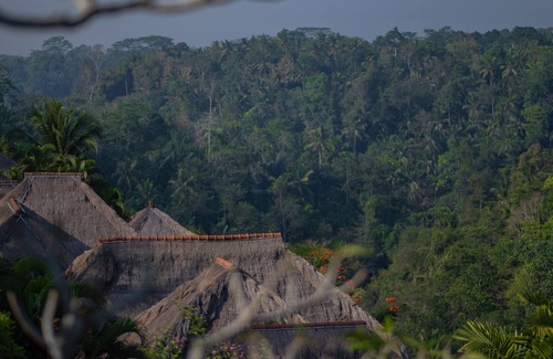 Bongkasa Pertiwi Complejo | Resort boutique de lujo de 1 habitación, vista a la selva en Ubud