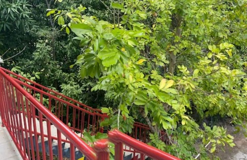 Great Mountain Apartamento | 1 Bedroom Private Studio Apartment