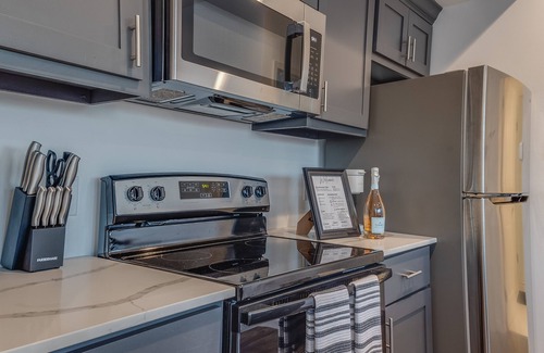 MacGregor Apartamento | 1 BR 1 BA Luxury - Museum District & Downtown HTX