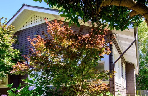 Mill Valley Cabaña | 1 BR Large Garden Cottage en el centro de Mill Valley Boyle Park - OCT LEY ESPECIAL