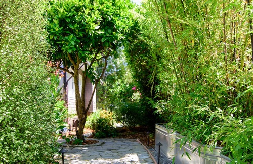 Mill Valley Cabaña | 1 BR Large Garden Cottage en el centro de Mill Valley Boyle Park - OCT LEY ESPECIAL