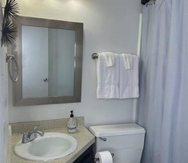 Fondren Apartamento | 1 BR Loft Medical District Fondren