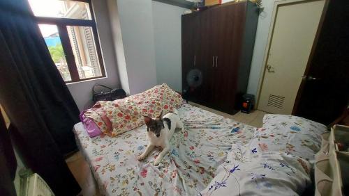 Pasay Apartamento | 1 Br Near Naia T3/Resorts World