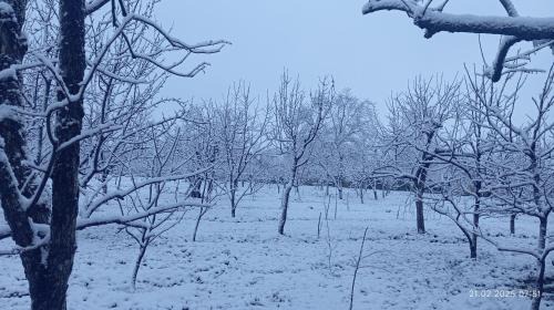 Azerbaijan Casa | 1 day in a village house