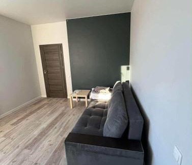 Kaunas County Apartamento | 1 kambario apartamentai