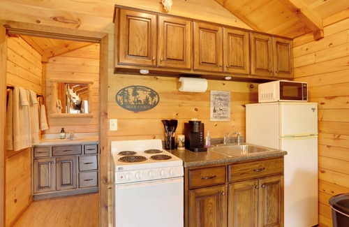 Van Buren Cabina | 1 Mi to Current River: Cozy Studio Cabin!
