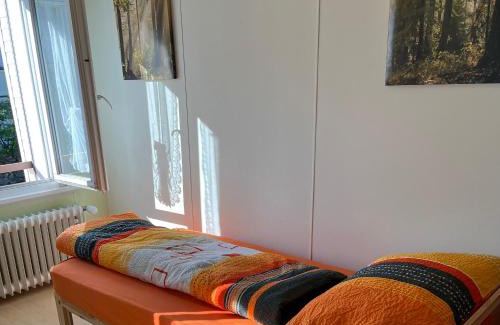 Haslen Apartamento | 10 - Gästehaus Erika - Hundwil - Appenzellerland
