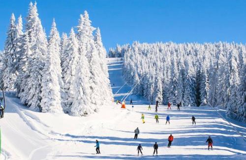 Mcafee Chalet De Esquí | 10 guest Ski Chalet Pools Golf Ski Hike