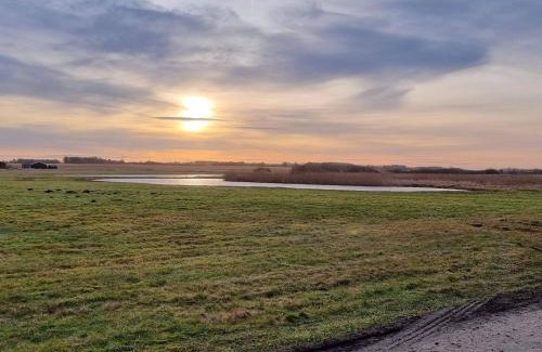Grønhøj Casa | 10 person holiday home in Løkken