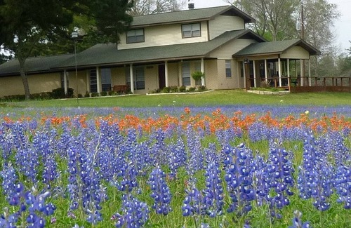 Bellville Casa | Rancho de 100 acres con un hermoso arroyo, estanques, bosques, animales de granja