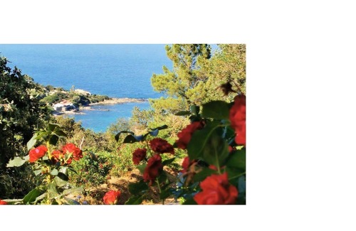 Tarcu Casa | 100% felicidad magnífica villa con vistas al mar, cerca de la playa. Entorno idílico
