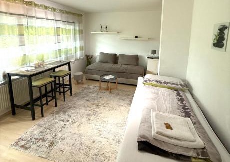 Wiesbaden Apartamento | 11-Ruhiges Apartment Wiesbaden-Terrasse,WLAN,Parkplatz
