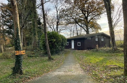 Cenarth Cabina | 11 Lodge en el bosque de Tan-y-coed