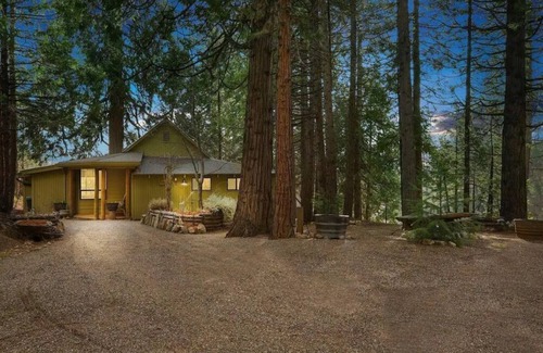 Glencoe Cabina | 114 acres! Wooded Serenity - Gold Camp Green Cabin