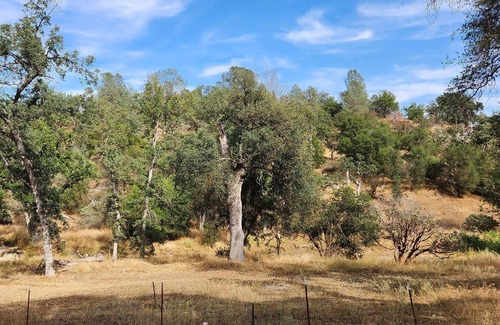 Mariposa Casa | 12 acre Horse Property on private creek near to Yosemite National Park